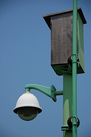 利用光纖網路，將生態即時影像透過網路傳送至全世界，達到環境保護及生態保育雙重目的