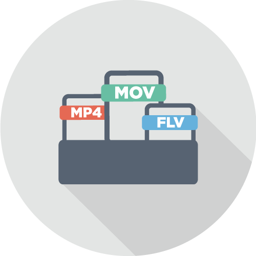 SES® One滿足各平台要求的影片格式